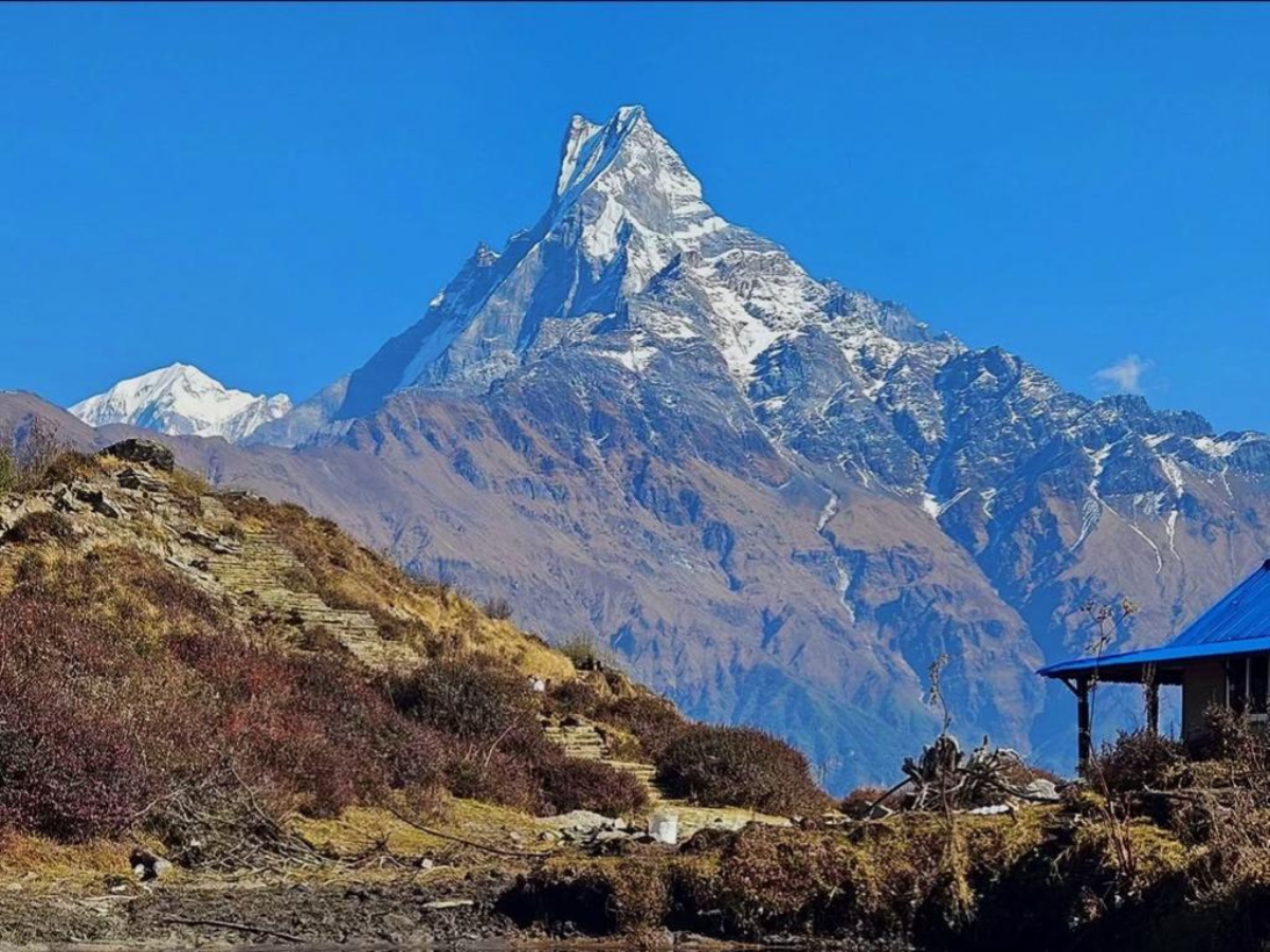 Fishtail Mountain View